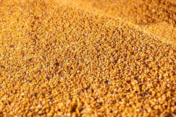 FAO Food Price Index broadly stable in May even as cereal quotations increase