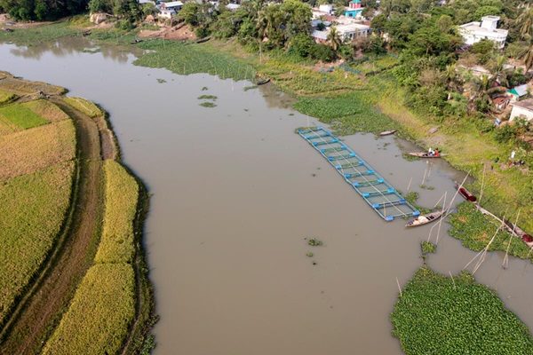 From record growth to impact: FAO welcomes ambitious new funding cycle of Global Environment Facility