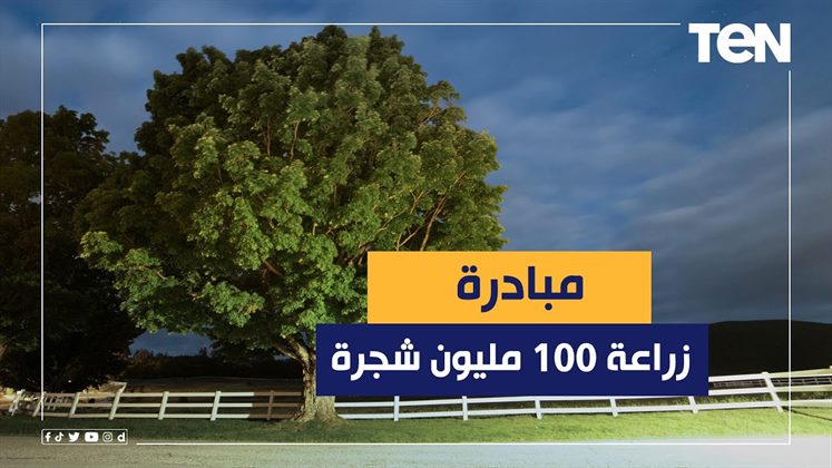 Egypt Launches Phase Four of the “100 Million Trees” Initiative in New Valley 🌳