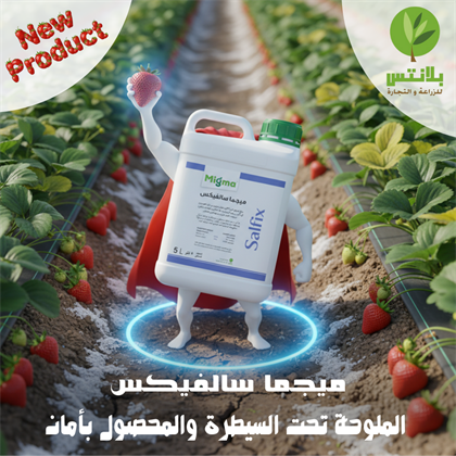 Soil Salinity: The Silent Threat to Crop Productivity