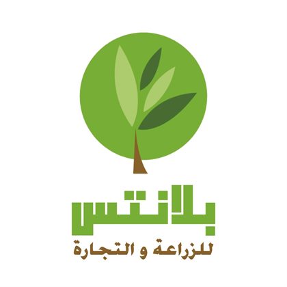 Vegetable Prices Today at Obour Market — Daily Update