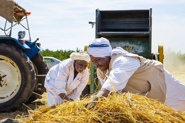 Risk of Famine persists as nearly 19.5 million people face acute food insecurity in Sudan