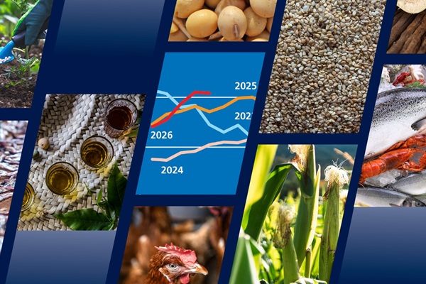 FAO Food Outlook: Global food commodity market trends face rising geopolitical and weather risks