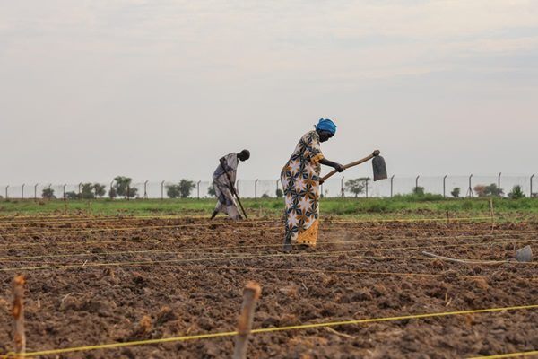 New FAO-WFP report warns worsening hunger puts 13 hotspots at significant risk