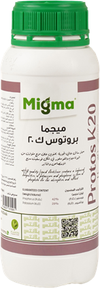 Powdery Mildew in Mango: Causes, Ideal Conditions, and Best Control Methods