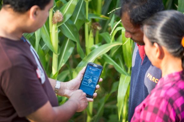 FAO Director-General calls for AI’s transformative power to be at the service of rural communities and a bridge towards shared prosperity