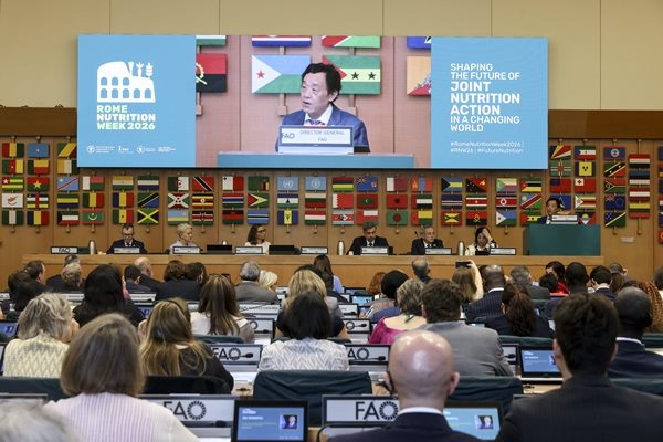 Availability, accessibility and affordability of quality food are vital for food security, says FAO