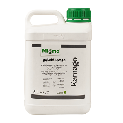 Successful Tomato Cultivation During Cold Weather Conditions