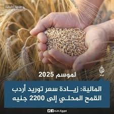 🌾 حصاد وتوريد القمح