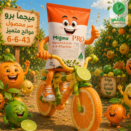 Best Fertilizer for Citrus: Why Megma Pro 6-6-43 Is the Ideal Choice for Improving Fruit Size and Quality