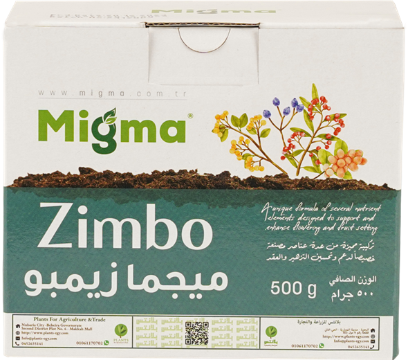 ميجما زيمبو