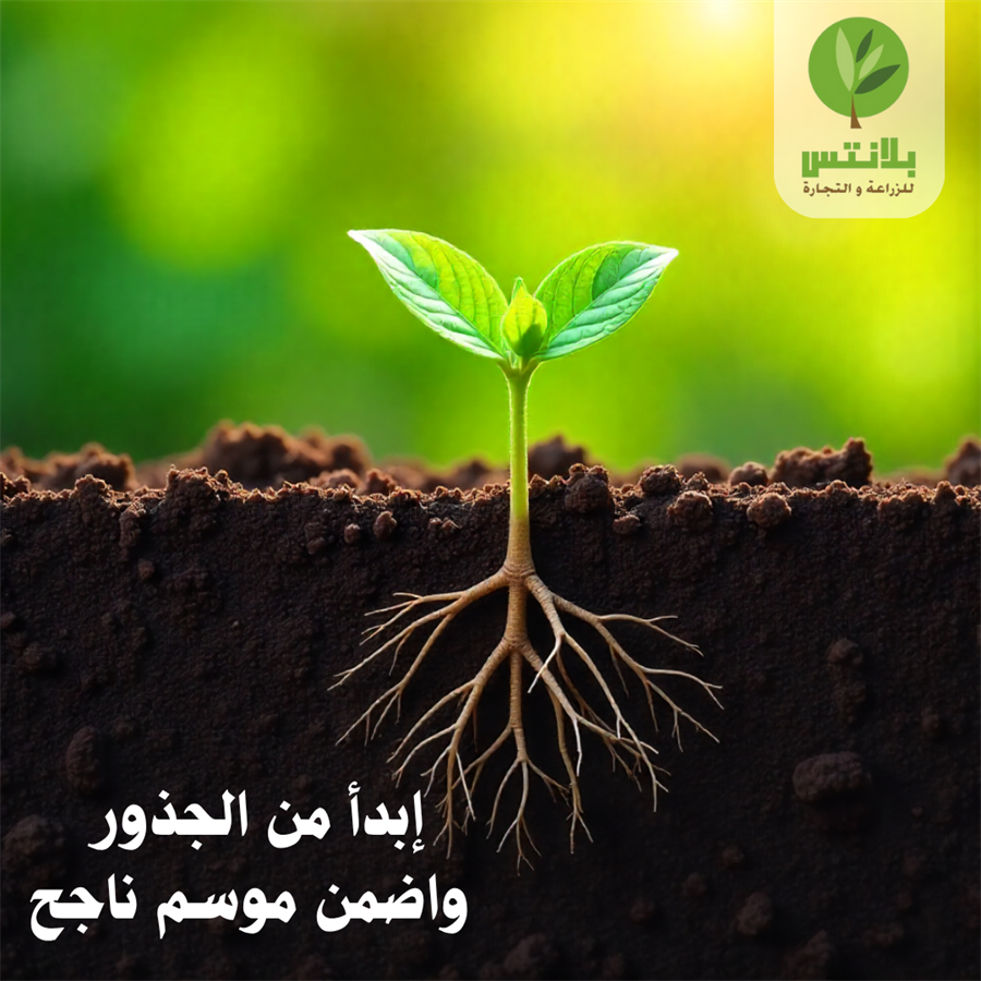 How to Build a Strong Root System that Boosts Growth and Yield? The Solution is Migma Rooter 