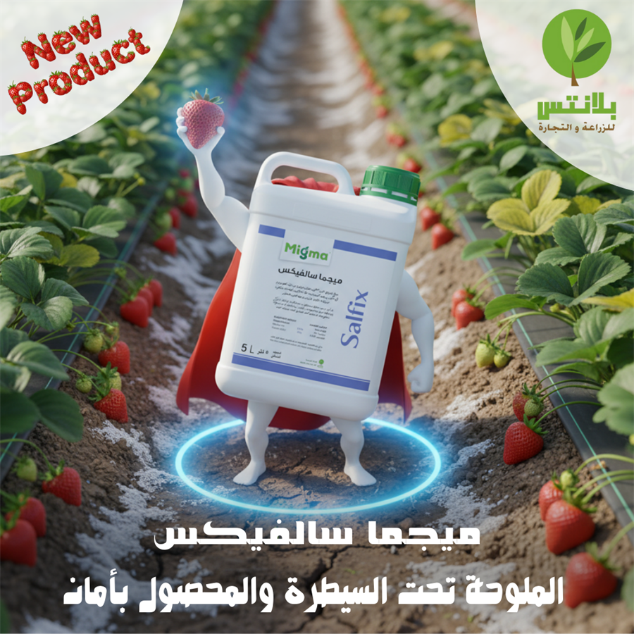 Soil Salinity: The Silent Threat to Crop Productivity