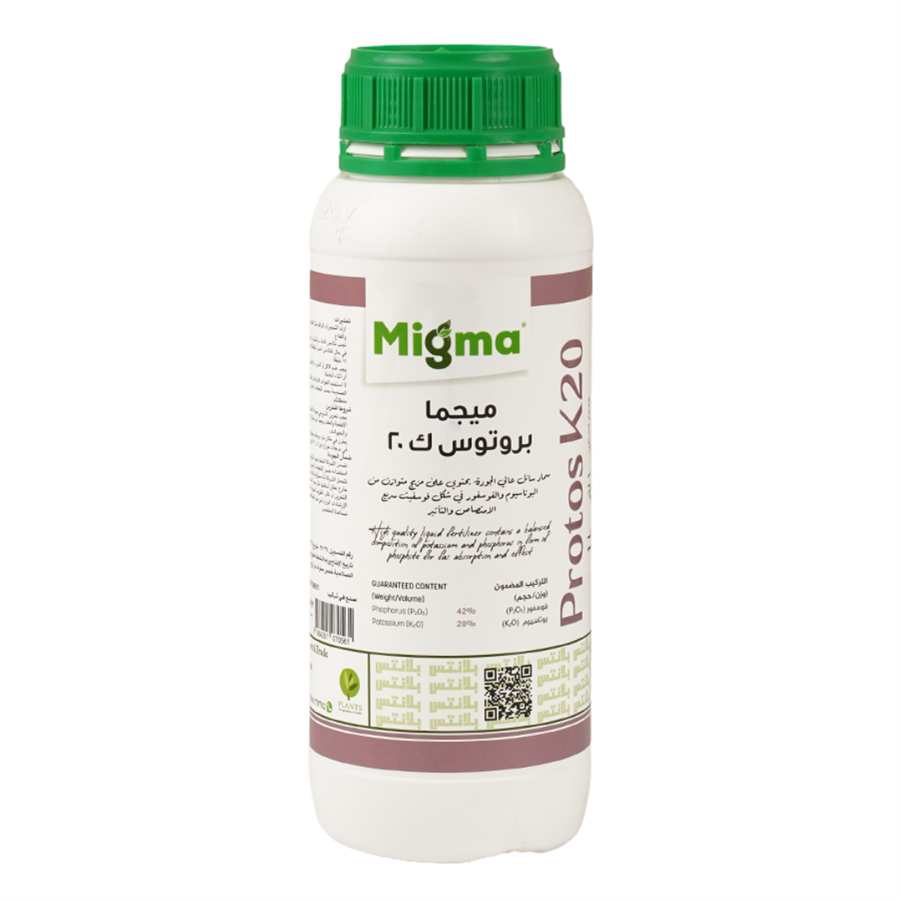 Powdery Mildew in Mango: Causes, Ideal Conditions, and Best Control Methods