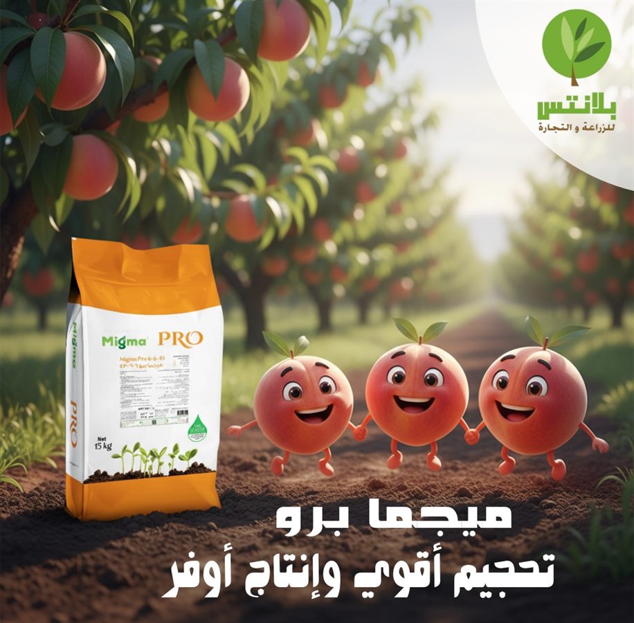 التحجيم في المحاصيل: كيف تحصل على ثمار أكبر وجودة أعلى؟