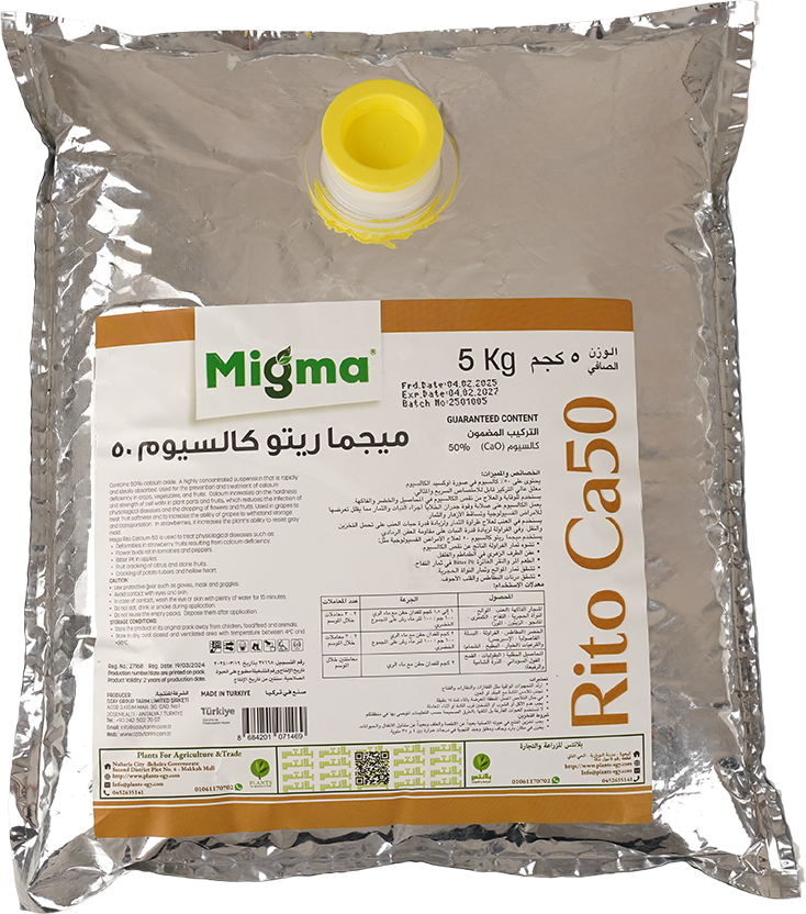 MEGMA RETO