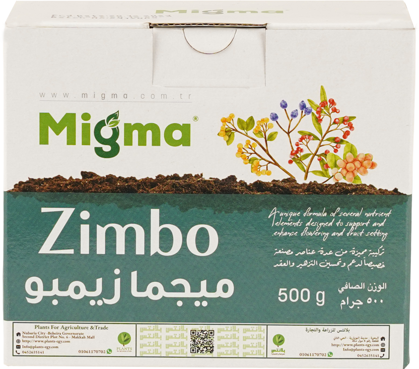 MIGMA ZIMBO