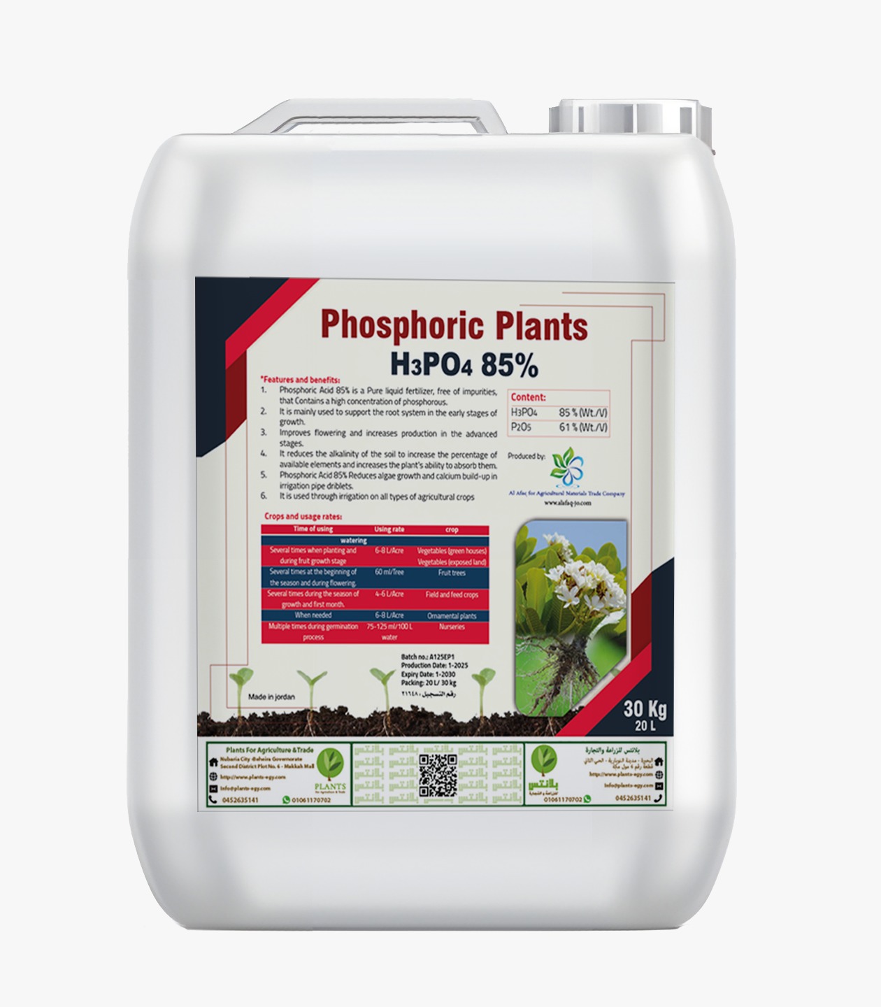 PHOSPHORIC PLANTS