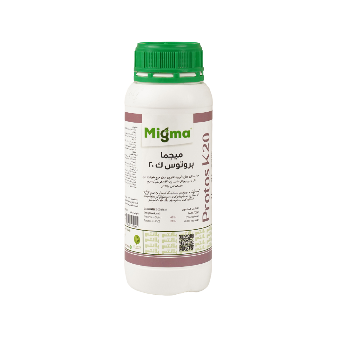 MEGMA PROTOS