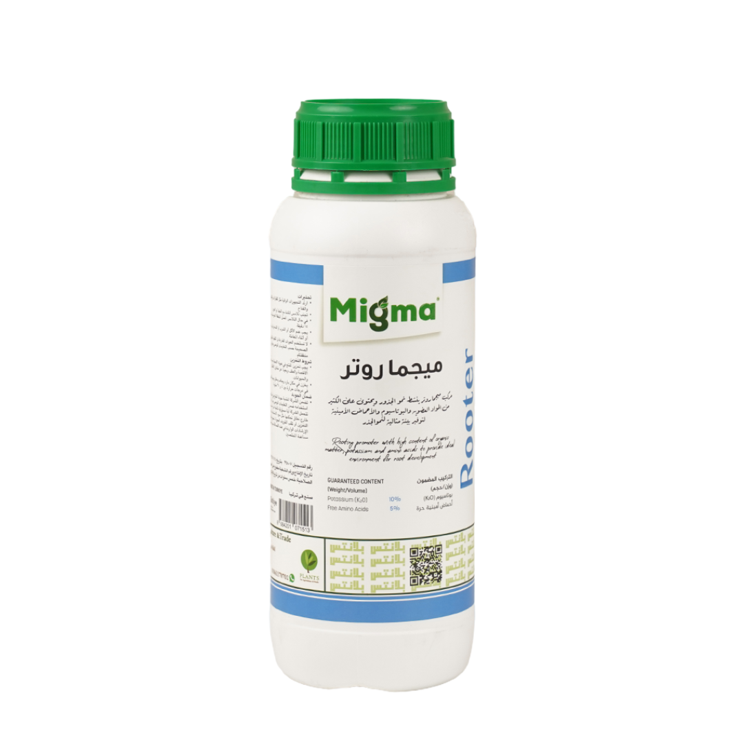 MIGMA ROOTER