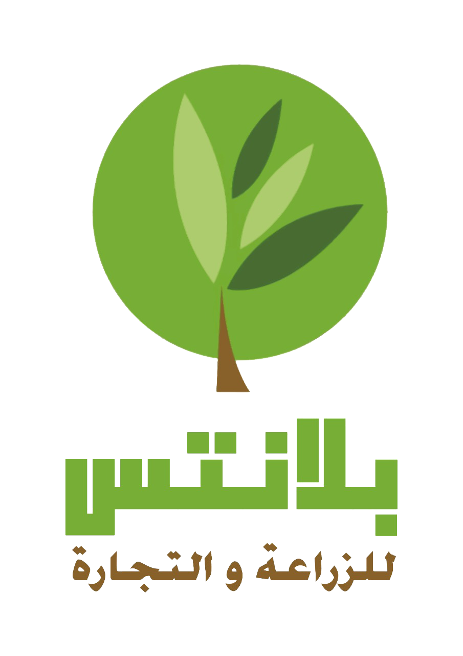 بلانتس إيجيبت